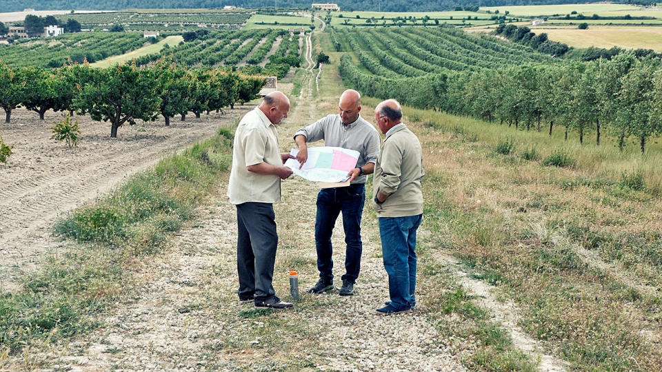 Trabajo de campo